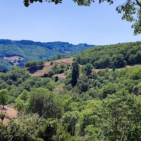 Maison Charmante A Florentin La Capelle Avec Jardin Et Vue Montagne Екстериор снимка