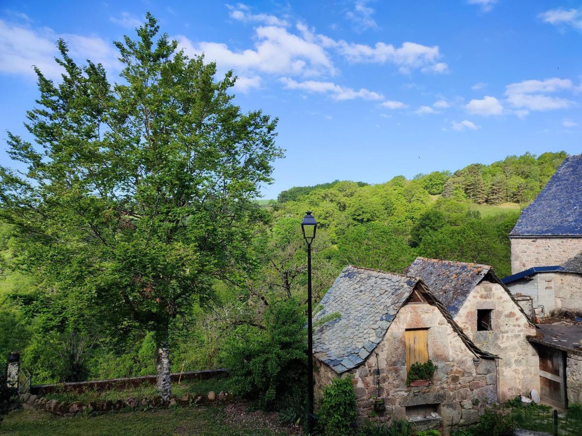 Maison Charmante A Florentin La Capelle Avec Jardin Et Vue Montagne Екстериор снимка