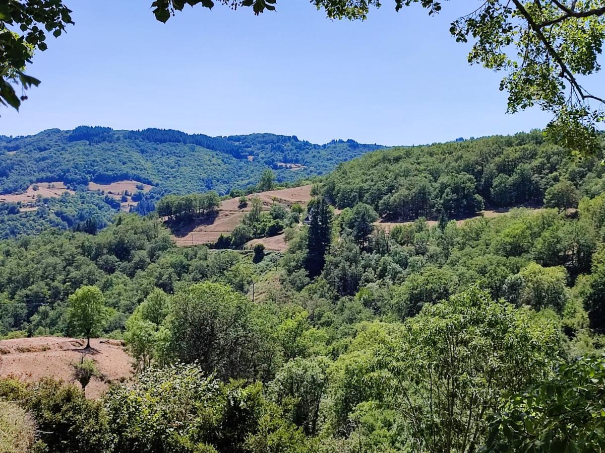 Maison Charmante A Florentin La Capelle Avec Jardin Et Vue Montagne Екстериор снимка